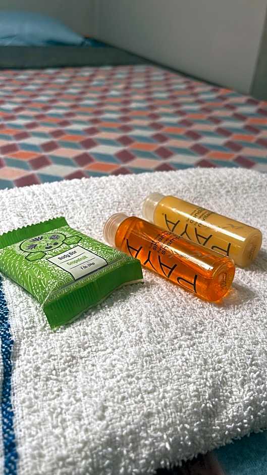 Miami Vibes "Hostel-Like" Shared Room