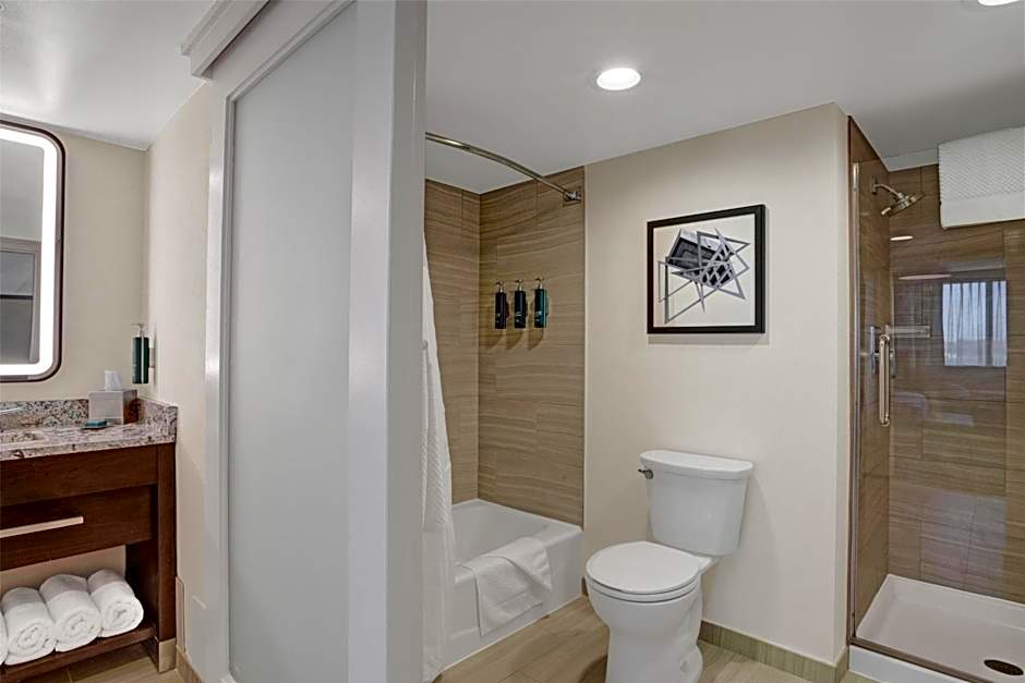 Hilton Crystal City At Ronald Reagan National Airport