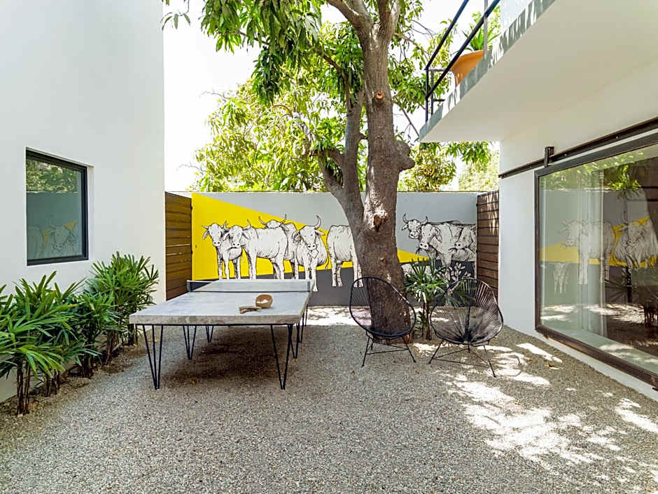 Drift San Jose del Cabo