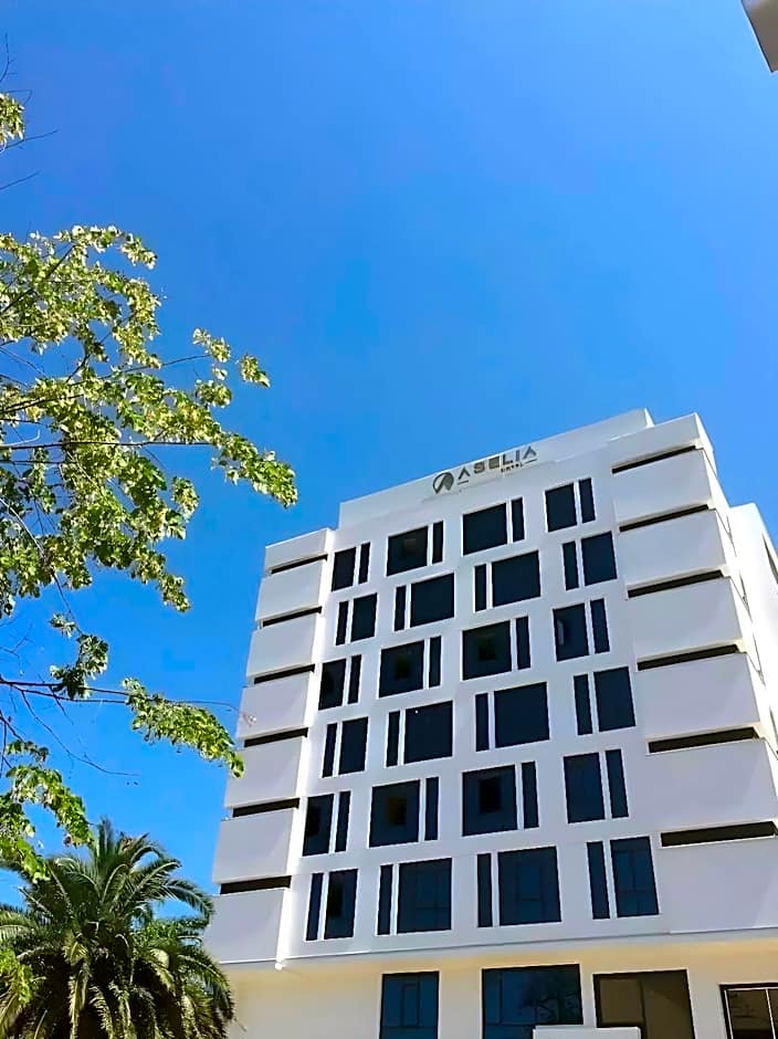 Aselia Hotel Trabzon