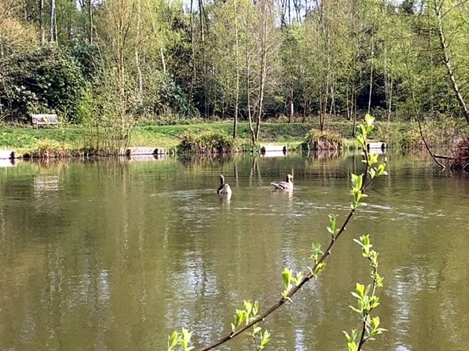 Hollicarrs - Newlands