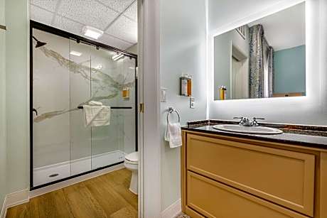 1 King Bed, Suite, Nonsmoking