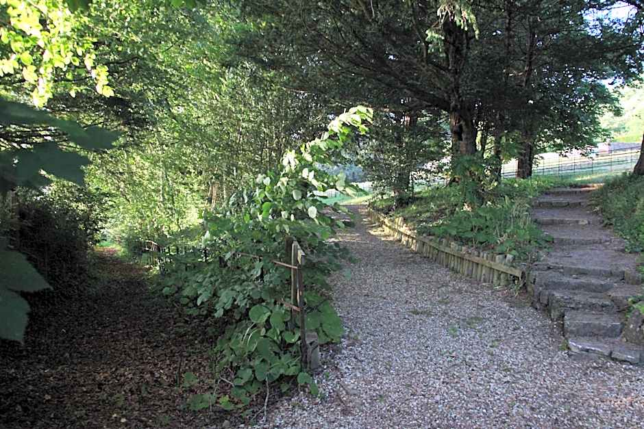 Spacious home in Bath, nature and city!