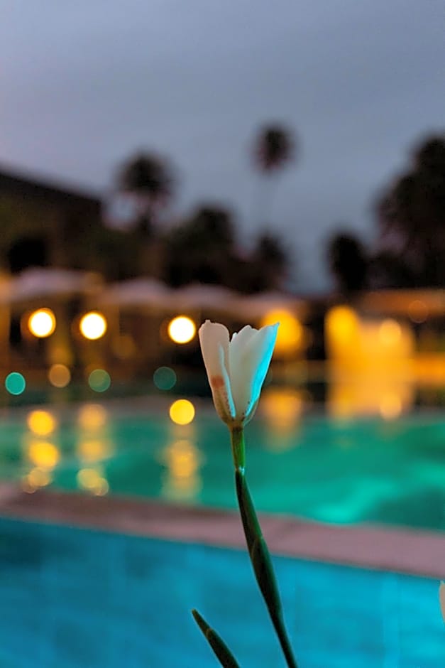 Flat Villas Manatee Rota Ecológica dos Milagres