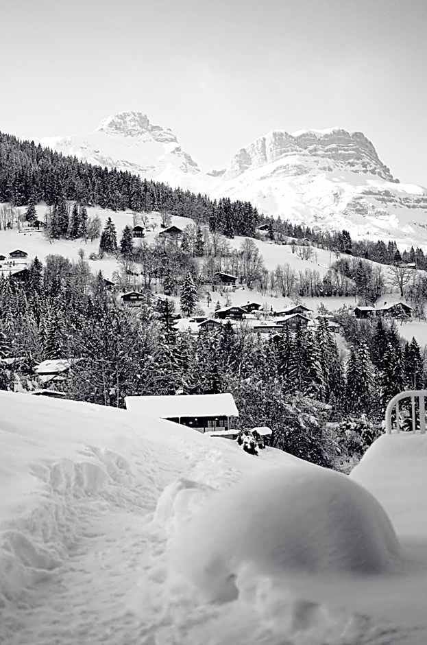 Chalet-Hôtel Les Rhodos