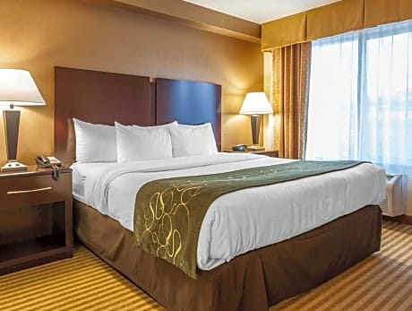 1 King Bed, Suite, Nonsmoking, Upgrade