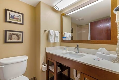 Comfort Inn & Suites San Antonio Airport