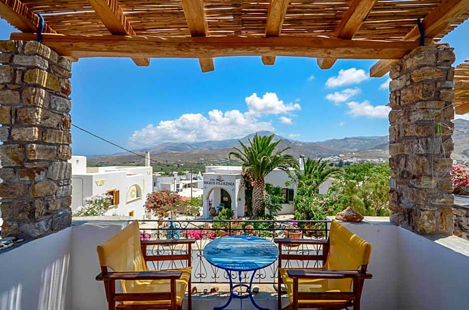 Naxos Filoxenia Hotel