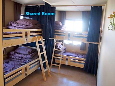 Bunk Bed in Mixed Dormitory Room