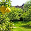 Ourika Timalizène le jardin des délices