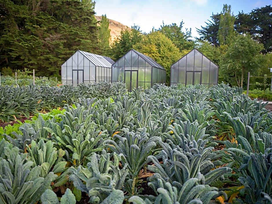 Craggy Range Luxury Vineyard Retreat