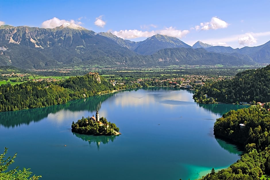 Apartmaji Rose in Winter