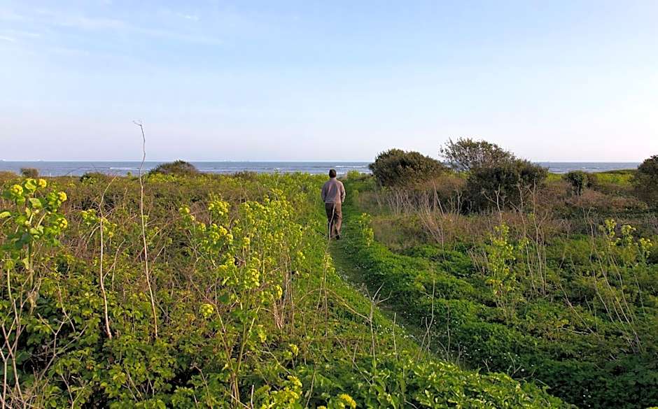 Les Vignes de la Chapelle, The Originals Relais
