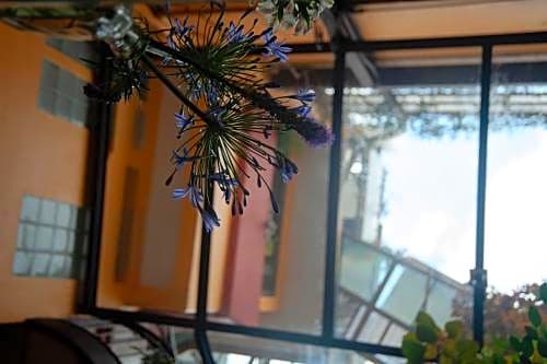 Chalet del Carmen, Coyoacán
