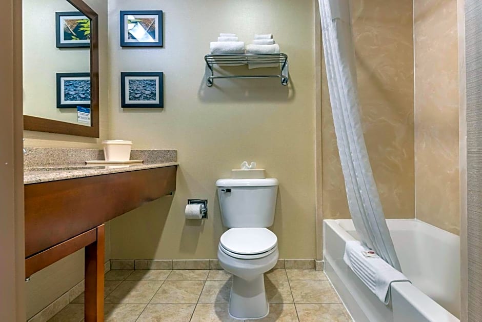 Comfort Inn & Suites Farmington - Victor