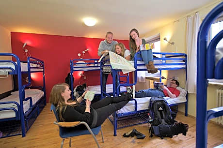 Bed in 12-Bed Mixed Dormitory Room