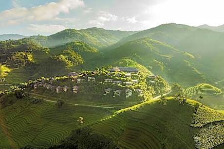 Garrya Mu Cang Chai