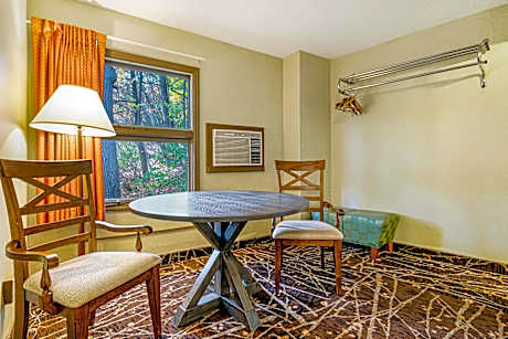 1 King Bed Efficiency Room Non-Smoking