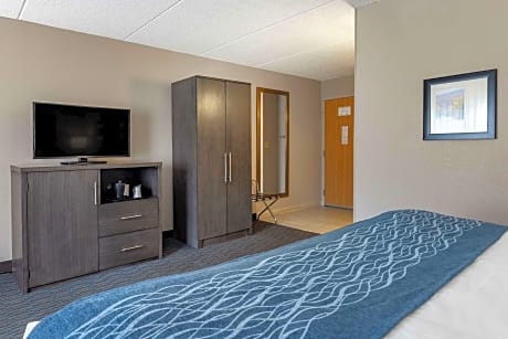 1 King Bed, Sofa Bed, Nonsmoking