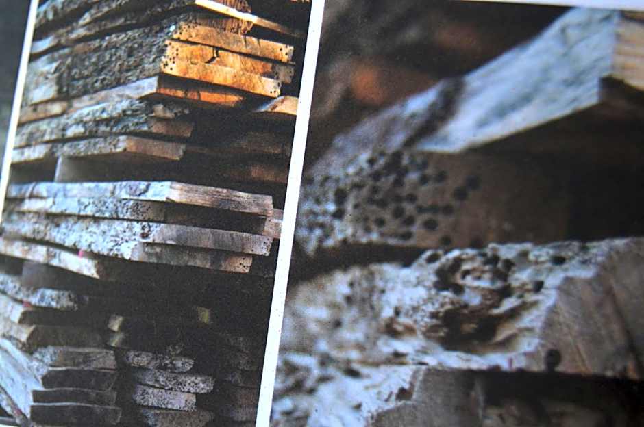 Guesthouse Grand View