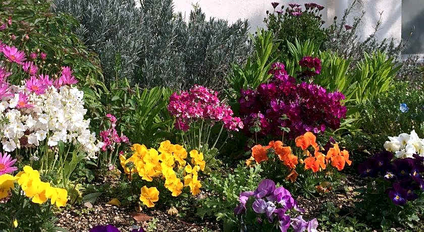 Shodoshima Olive Youth Hostel