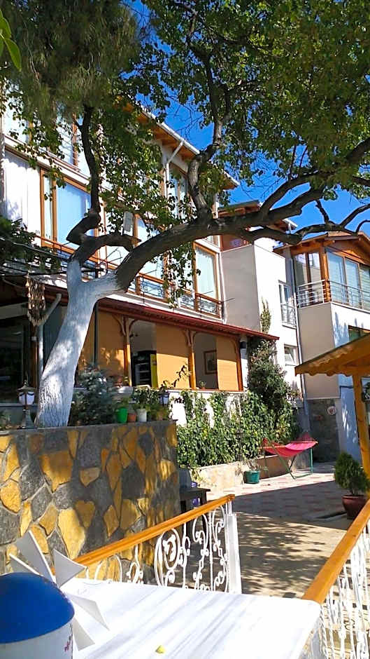 Hotel Mola