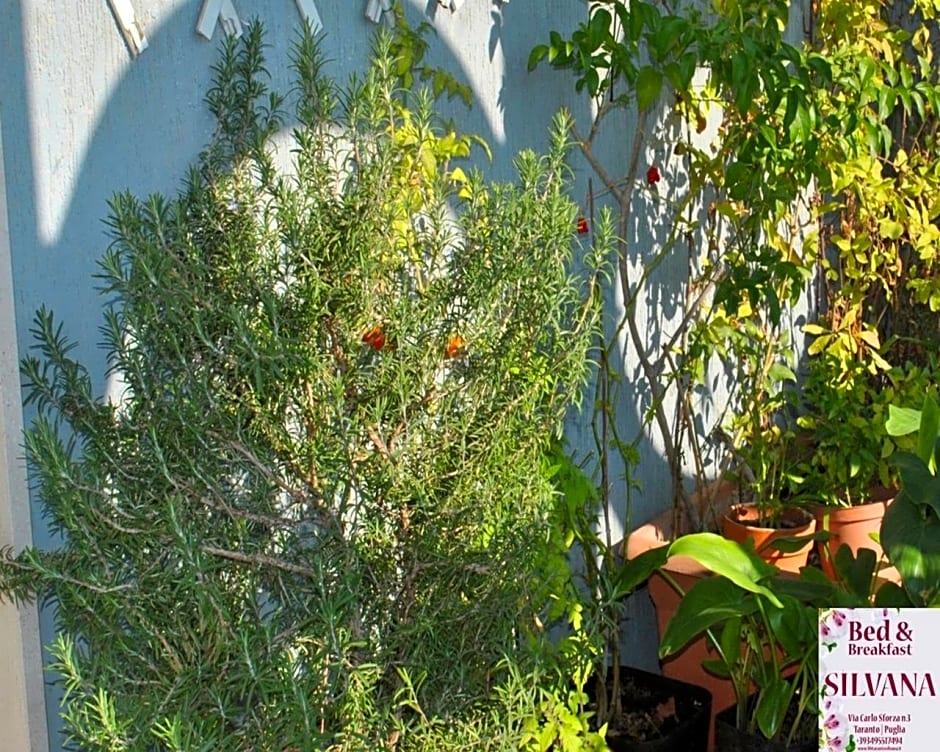Bed and Breakfast Silvana