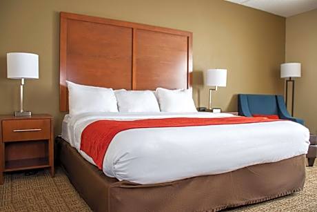 King Room - Non-Smoking