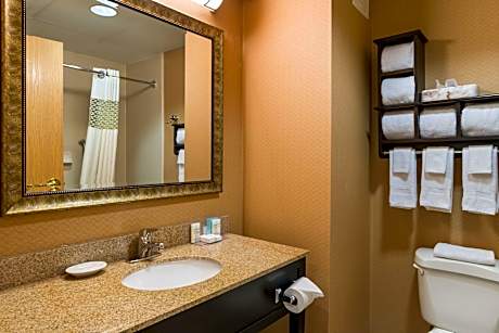 1 King Mobility Access Roll In Shower Nosmok