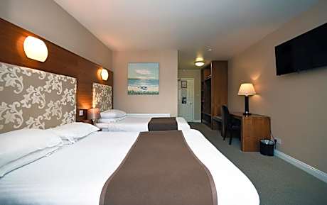 Deluxe Double or Twin Room with Sea View