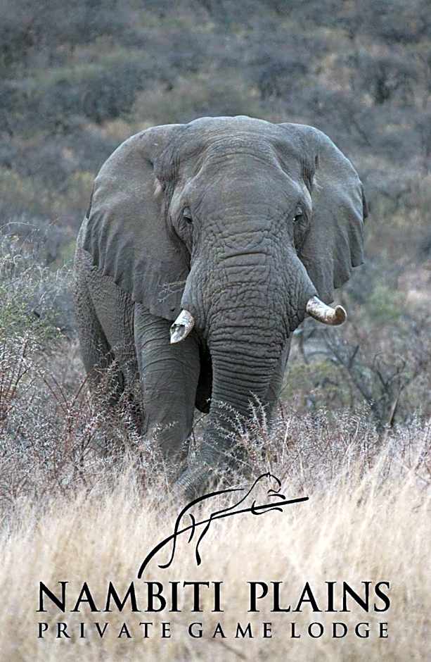 Nambiti Plains Lodge