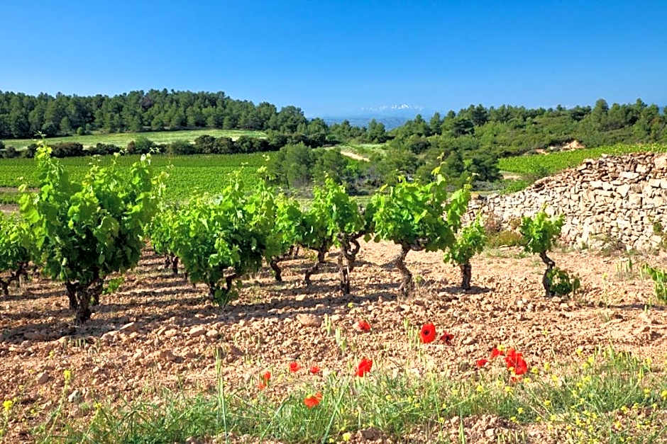 Logis Hotel - Restaurant La Marbrerie