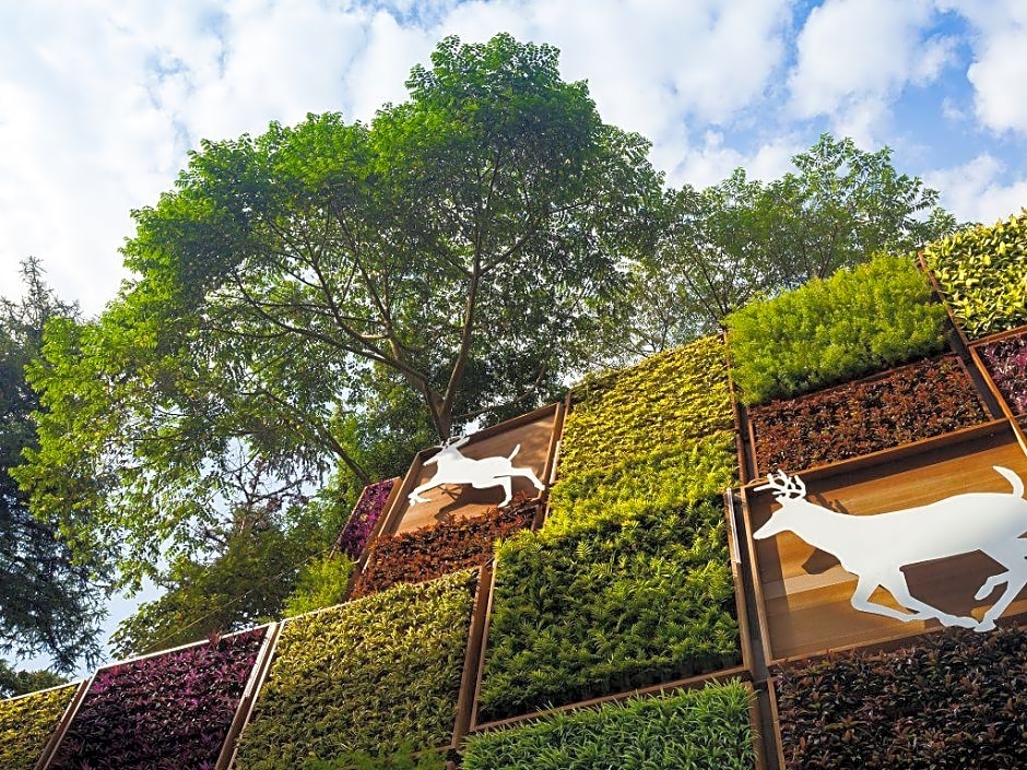 Lealea Garden Hotels-Sun Moon Lake-Moon