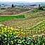 La Maggiorina