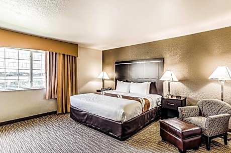 King Room Larger Unit - Accessible/Non-Smoking