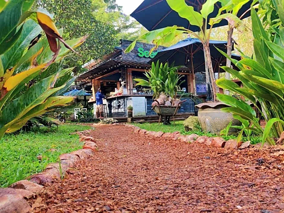 The Willow Phangan