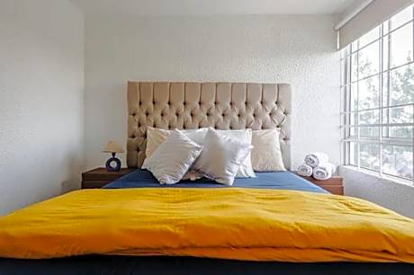 Estadio GNP, Foro Sol, Autódromo Ciudad de México