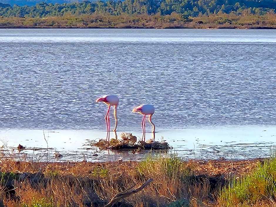 H2o Chambres d'Hôtes