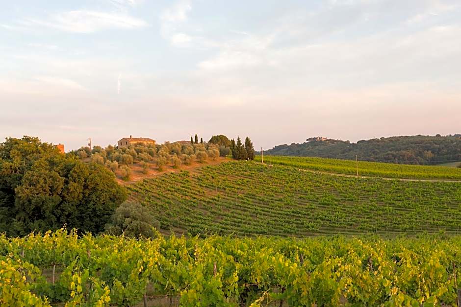 Tenuta Di Monaciano