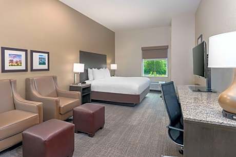 Suite-1 King Bed  Non-Smoking Sofabed Balcony Flat Screen Television Microwave And Refrigerator Hair