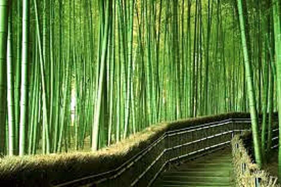 Premiere Classe Ales