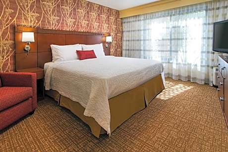 One-Bedroom King Suite with Sofa Bed