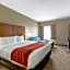 Comfort Inn and Suites Fredericksburg