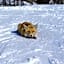 Albergo Boule de Neige