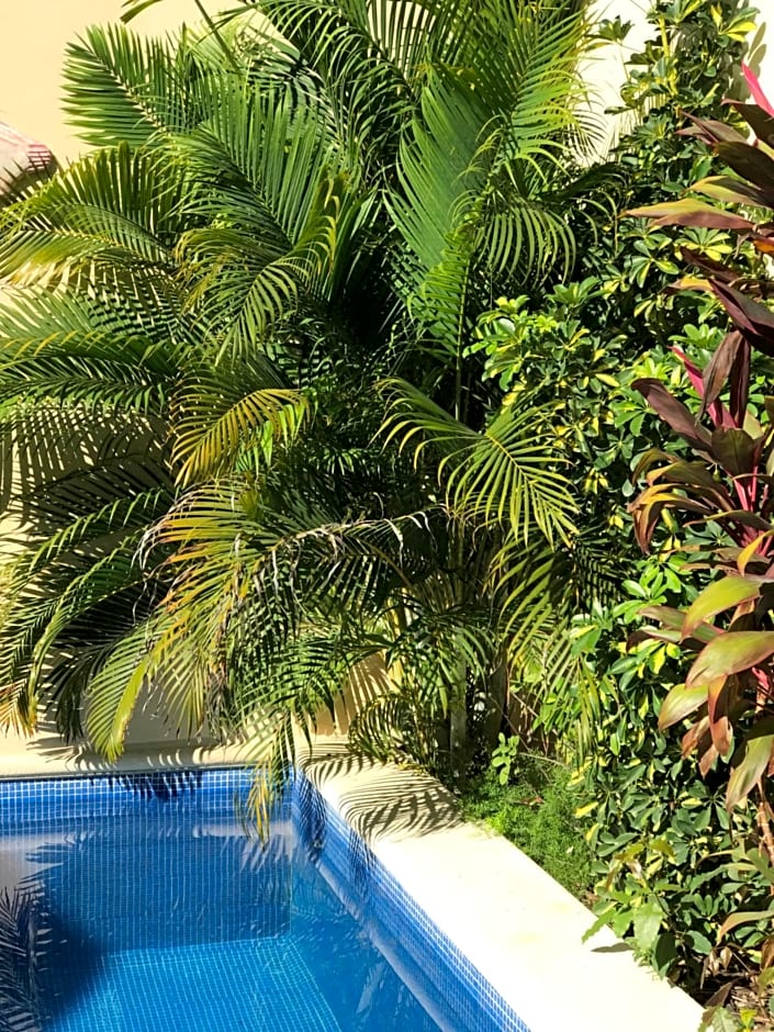 Hotel Casa Santiago Tulum