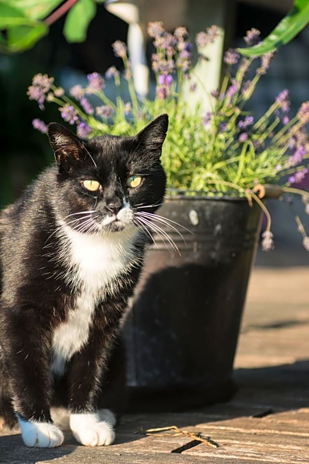 Broeks' Bed En Brood