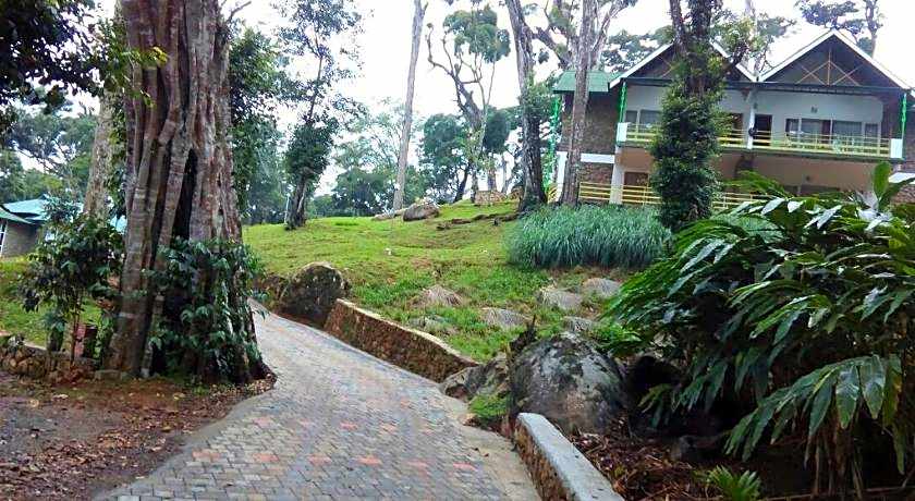 Neelakurunji Plantation Munnar