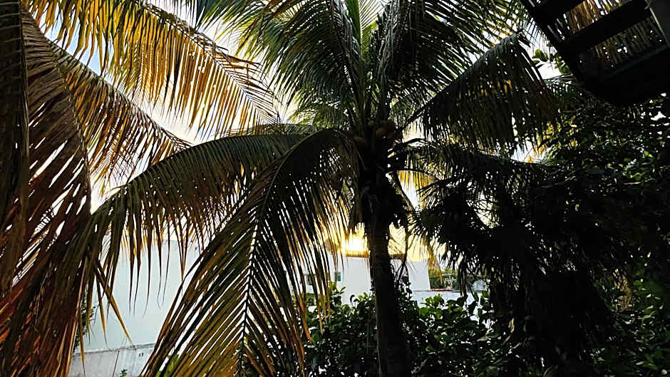 Hotel B&B by Playa del Karma