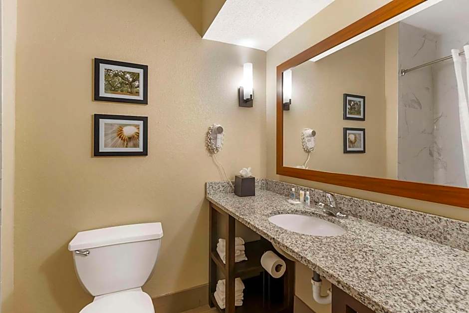 Comfort Suites At The University