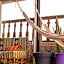 Surf hostel Morocco